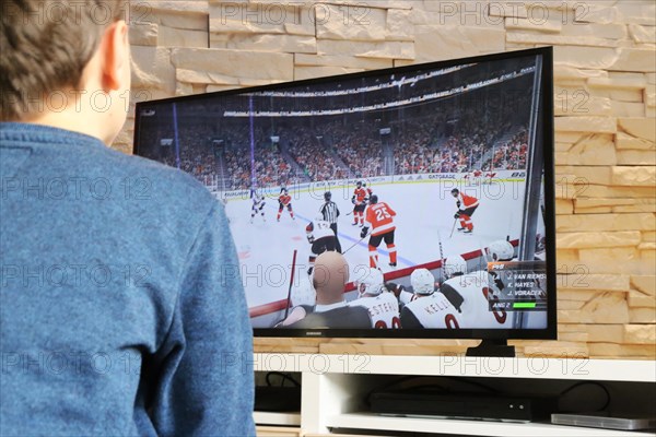 Boy plays ice hockey on the Playstation