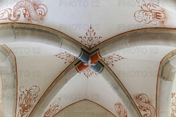 Ceiling with floral frescoes, Bebenhausen Cistercian Monastery, Tuebingen, Baden-Wuerttemberg, Germany, Europe