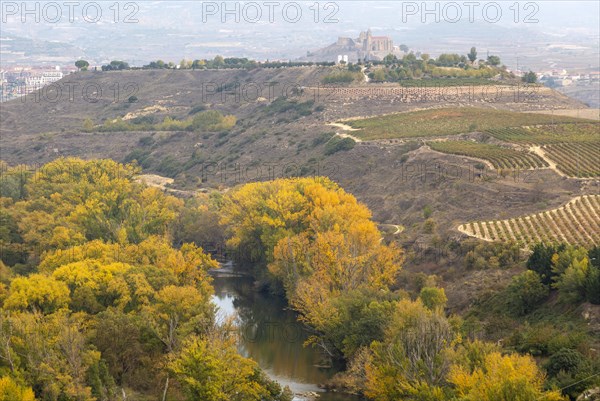 Autumn landscape looking over River Ebro, Briones, La Rioja Alta, Spain, Europe