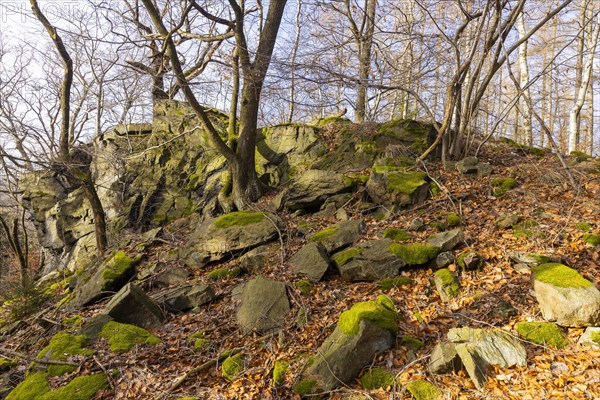 The Hohle Stein, a rock gate about three metres high and about four metres wide near Oelsen (area natural monument), Oelsen, Saxony, Germany, Europe