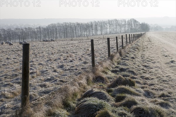 Frosty fence leading downhill from Windmill Hill, a Neolithic causewayed enclosure, near Avebury, Wiltshire, England, UK