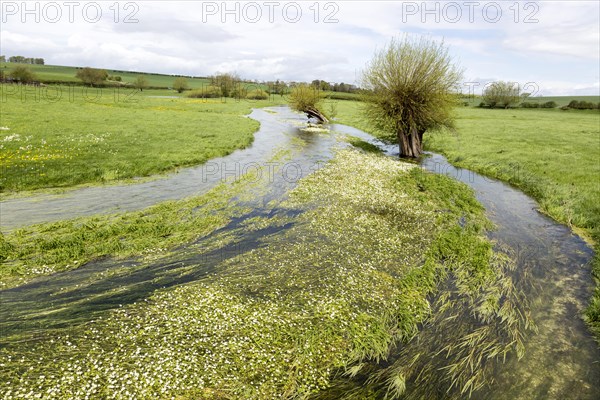 River Till seasonal chalk stream known as a winterbourne, Winterbourne Stoke, Wiltshire, England, UK