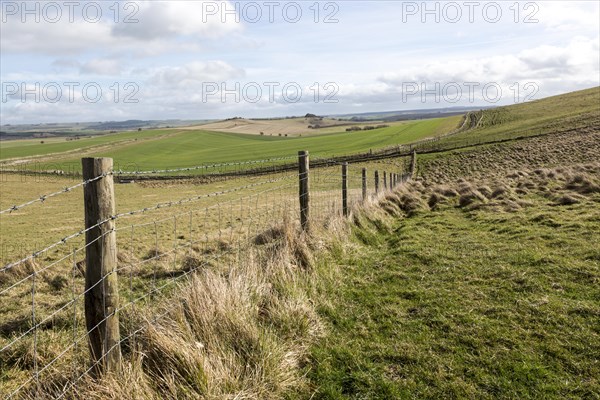 Undulating countryside upland chalk landscape in winter downland area of North Wessex Downs, near Cherhill, Wiltshire, England, UK