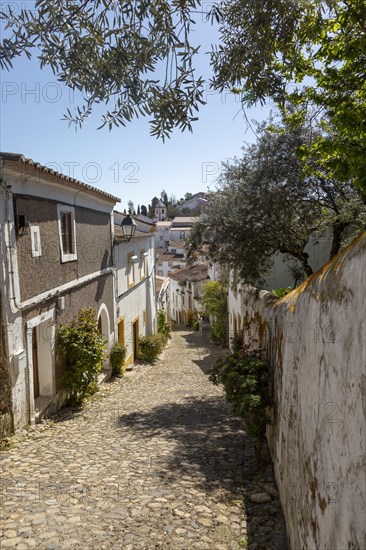 Cobbled street in Judiara the former Jewish part of Castelo de Vide, Alto Alentejo, Portugal, southern Europe, Europe