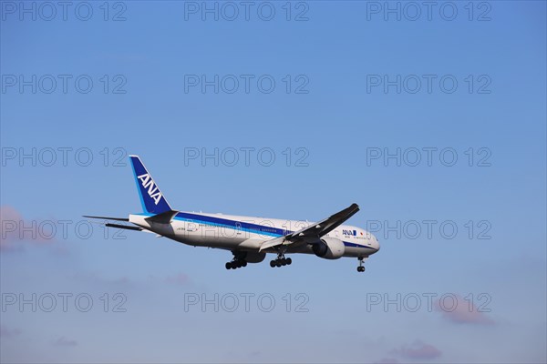 A passenger plane of the Japanese airline ANA lands at Frankfurt Airport