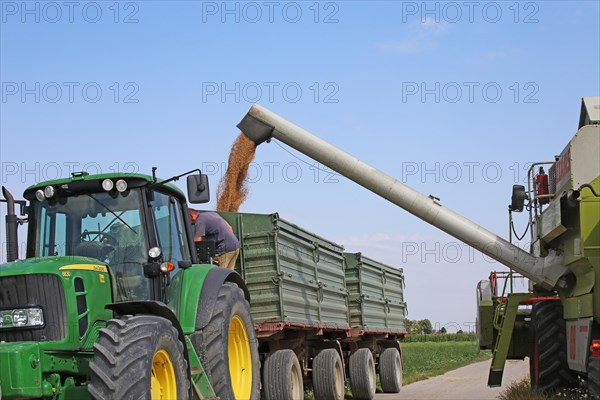 Agriculture grain harvest (Rhineland-Palatinate, July 2020)