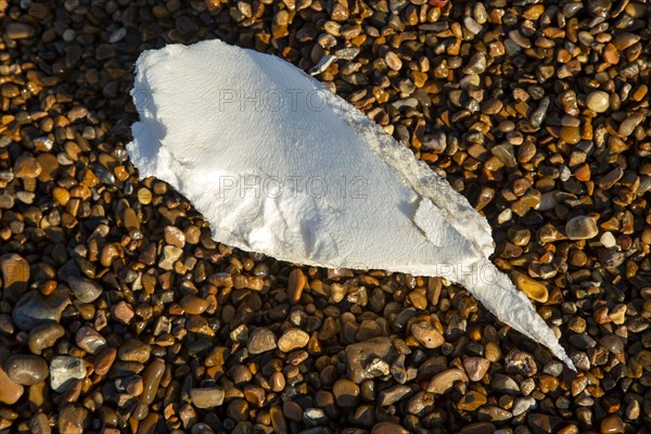 Lump of white polystyrene pollution washed up on shingle beach close up on Suffolk coast, UK