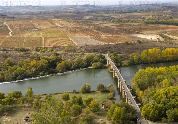 View over fields of grapevines and medieval bridge crossing River Ebro, San Vicente de la Sonsierra, La Rioja, Spain, Europe