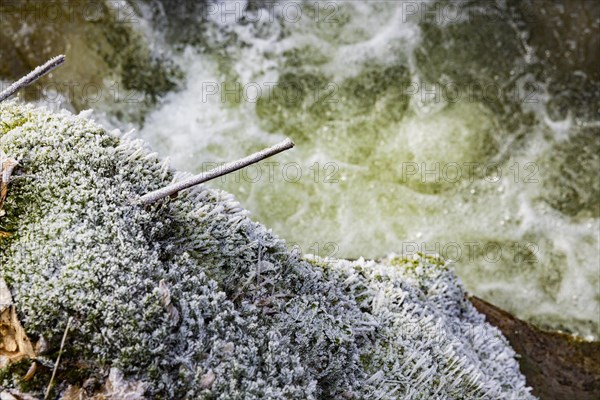 Severe frost has formed bizarre ice formations in the riverbed of the Gottleuba. Frozen spray covers the moss carpets on the rocks, Bergieshuebel, Saxony, Germany, Europe