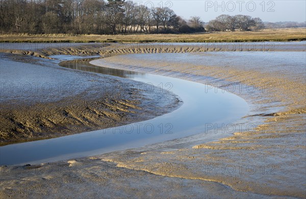 Meanders in mud channel low tide River Deben, Kirton Creek, Suffolk, England, UK