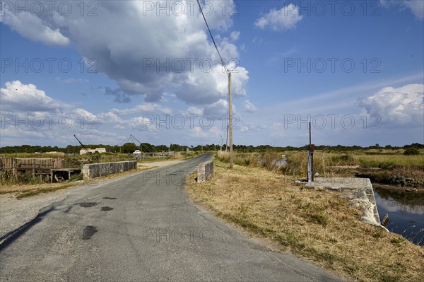 Road with a bridge and canals for oyster farming through a landscape in Saint-Pierre-d'Oleron, Charente-Maritime department, Nouvelle-Aquitaine, France, Europe