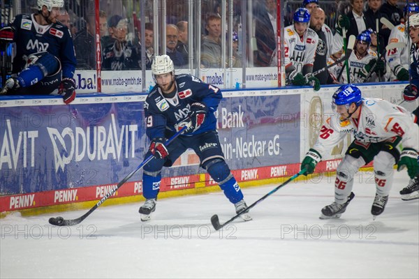 Game scene Adler Mannheim against Augsburg Panther (PENNY DEL, German Ice Hockey League)