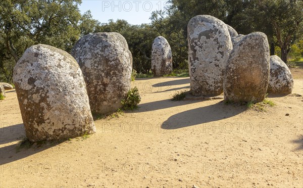 Neolothic stone circle of granite boulders, Cromeleque dos Almendres, Evora district, Alentejo, Portugal, southern Europe, Europe