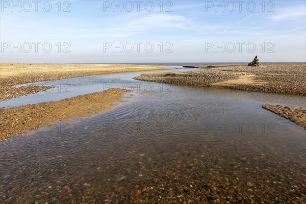 Benacre national nature reserve, North Sea coast, Suffolk, England, UK