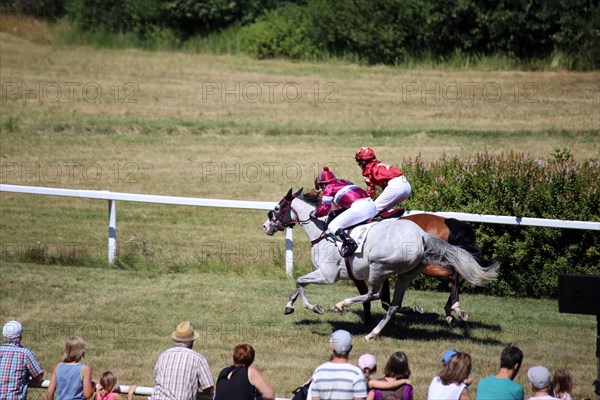 Horse racing at the Hassloch racecourse, Palatinate