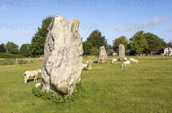 Standing stones in south east quadrant neolithic stone circle henge prehistoric monument, Avebury, Wiltshire, England UK