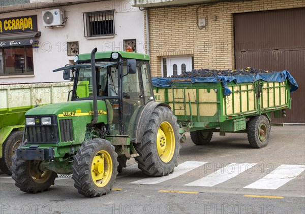 John Deere tractor with trailer of freshly harvested grapes, San Asensio, La Rioja Alta, Spain, October 2021, Europe
