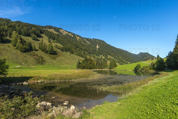 Alpine pasture at Lecknersee, humpback meadow, water reflection, municipality of Dornbirn, Bregenzerwald, Voralberg, Austria, Europe