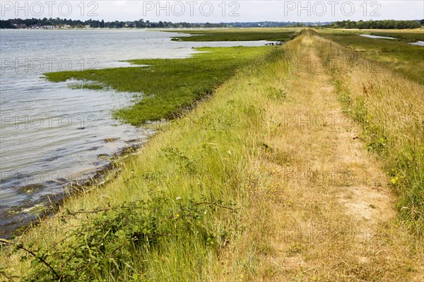 Summer landscape flood defence river wall path on River Deben tidal estuary, Sutton, Suffolk, England, UK