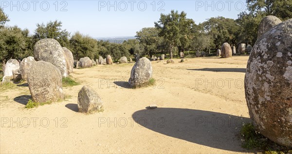 Neolothic stone circle of granite boulders, Cromeleque dos Almendres, Evora district, Alentejo, Portugal, southern Europe, Europe