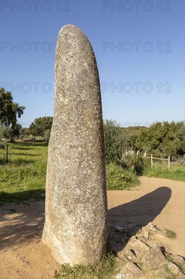 Neolithic standing stone 4 metres high called the Menir dos Almendres, near Evora, Alentejo, Portugal, Southern Europe, Europe