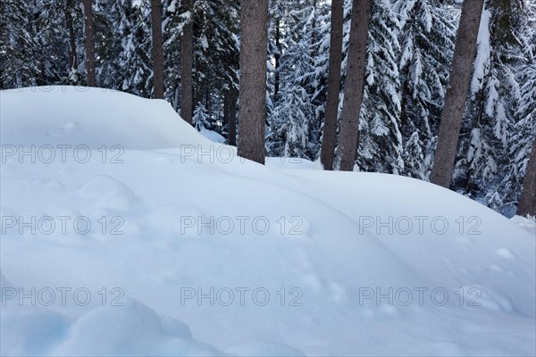 High winter at Burgstall, Winklern, Moelltal, Carinthia, Austria, Europe