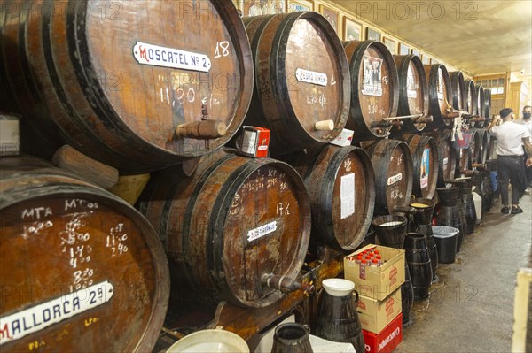 Antigua Casa Del Guardia traditional wine bar Malaga, Andalusia, Spain barrels of sherry and wines