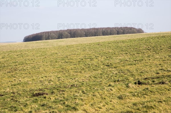 Chalk landscape scenery near Chitterne, Salisbury Plain, Wiltshire, England, UK