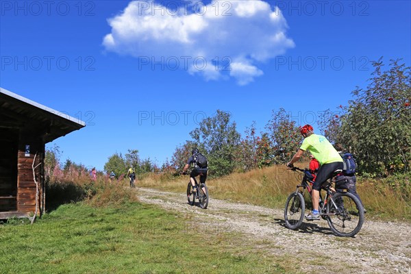 Mountain bike tour through the Bavarian Forest with the DAV Summit Club: Mountain bikers on the ascent to the Grosser Arber