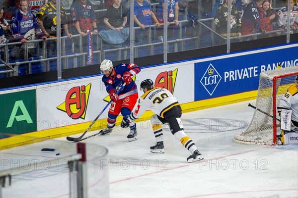 Game scene Adler Mannheim against Rouen Dragons (Champions Hockey League)