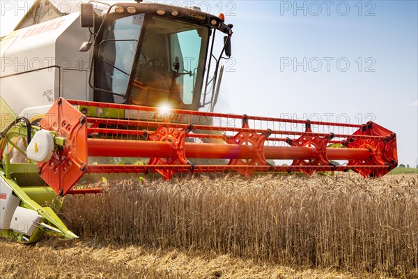 Grain harvest near Hockenheim, Baden-Wuerttemberg