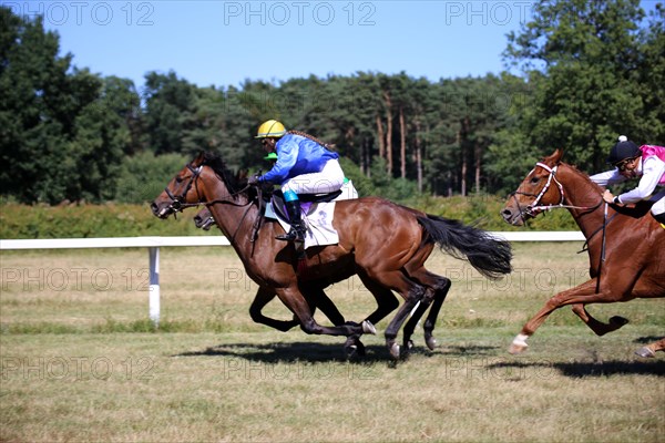 Horse racing at the Hassloch racecourse, Palatinate