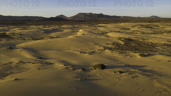 Sand dunes near Corralejo, shifting sand dunes, Fuerteventura, Canary Islands, Spain, Europe