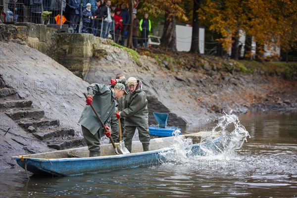 Fish and forest festival, fishing in the Moritzburg castle pond