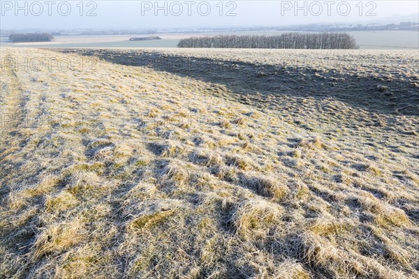 Earthwork embankments at Windmill Hill, a Neolithic causewayed enclosure, near Avebury, Wiltshire, England, UK