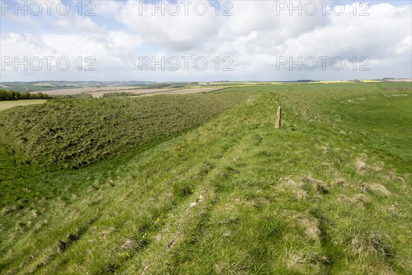 Defensive ramparts and ditch Yarnbury Castle, Iron Age hill fort, Wiltshire, England, UK