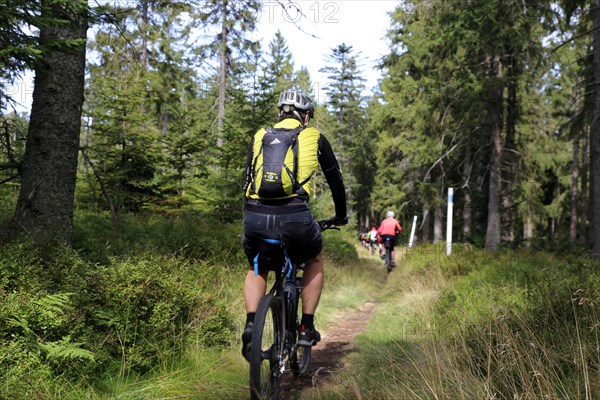 Mountain bike tour through the Bavarian Forest with the DAV Summit Club: Mountain bikers in the Bohemian Forest near the border with Bavaria