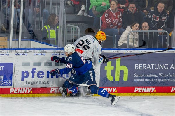 Game scene Adler Mannheim against Fischtown Pinguins Bremerhaven (PENNY DEL, German Ice Hockey League)