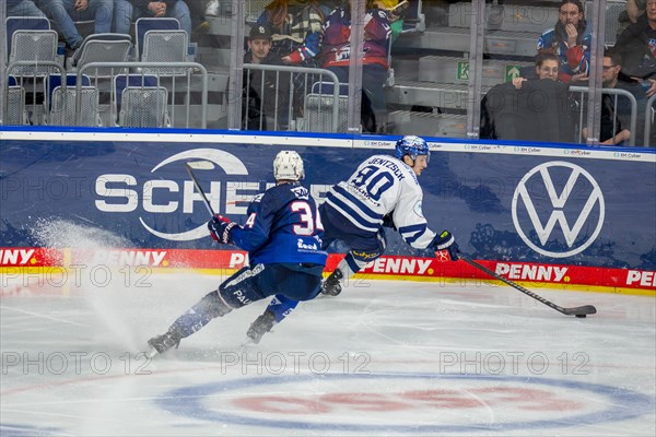 26.01.2024, DEL, German Ice Hockey League, Matchday 41) : Adler Mannheim vs Iserlohn Roosters (In the picture Tom Kuehnhackl, 34, Adler Mannheim and Taro Jentzsch, 90, Iserlohn Roosters)