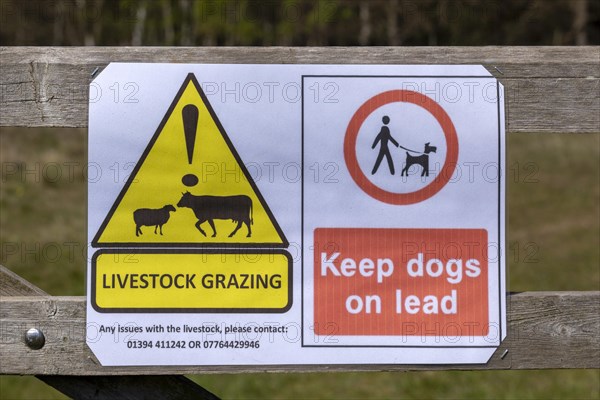 Macro close up of Livestock Grazing, Dogs on Lead Please sign on fencepost, Sutton, Suffolk, England, UK