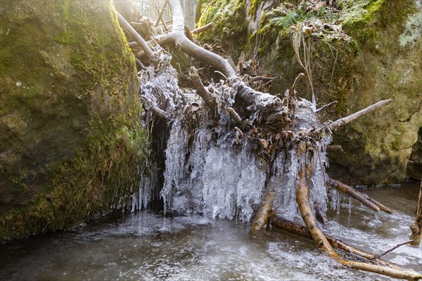 Severe frost has formed bizarre ice formations in the riverbed of the Gottleuba, Bergieshuebel, Saxony, Germany, Europe