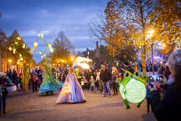 Evening atmosphere at the Fasanenschloesschen, Moritzburg, Saxony, Germany, Europe