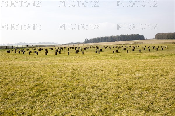 Woodhenge neolithic prehistoric henge site, near Amesbury, Wiltshire, England, UK