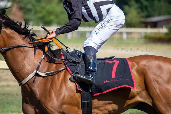 Race day at the racecourse in Hassloch, Palatinate. Cantering in in front of the Hassloch Mile (category D, 1, 600 metres) . Here Maxim Pecheur on Seventh Seal