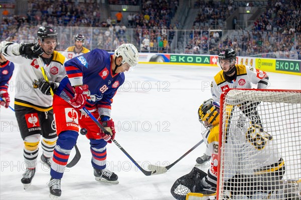 Game scene Adler Mannheim against Rouen Dragons (Champions Hockey League)