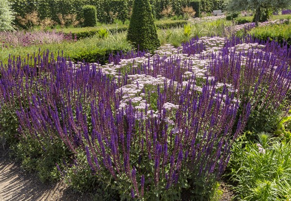 Royal Horticultural Society gardens at Hyde Hall, Essex, England, UK cottage garden