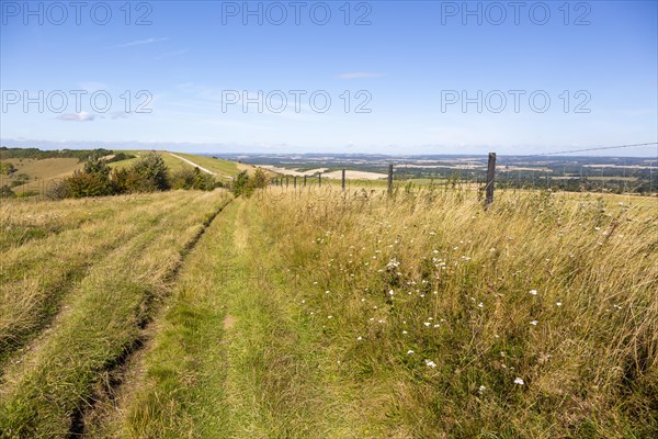 Track along top of chalk scarp escarpment slope of Inkpen Hill, at Walbury Camp, Berkshire, England, UK