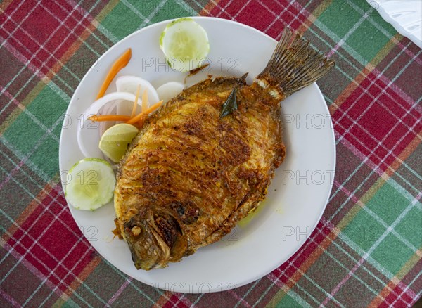 A traditional Kerala fried fish dish, the Pearl Spot (Etroplus suratensis), locally known as â€œKarimeen, â€ served on a plate, India, Asia