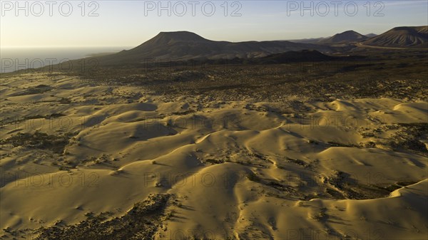 Sand dunes near Corralejo, shifting sand dunes, Fuerteventura, Canary Islands, Spain, Europe