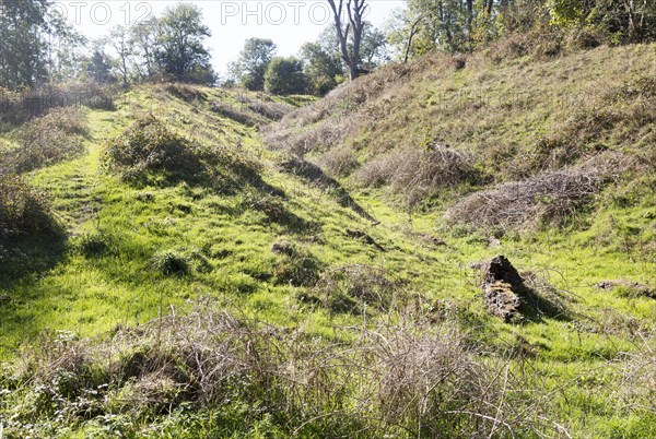 Sidbury Camp or Sidbury Hill Iron Age hill fort, Haxton Down, near Everleigh, Wiltshire, England, UK